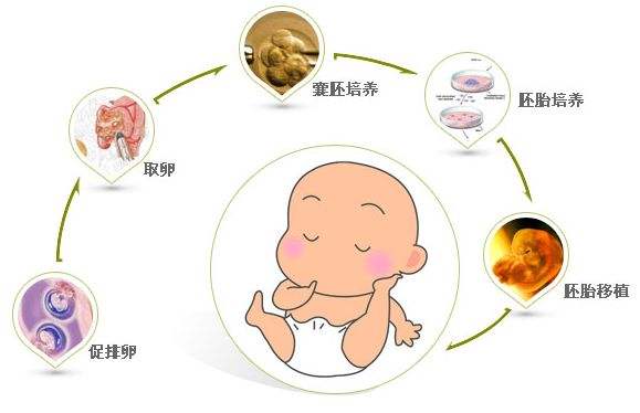 浙江省辅助生殖技术管理与伦理